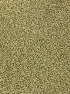 Glööckler Tapete Vlies Federn Blätter Gold Glanz 52504