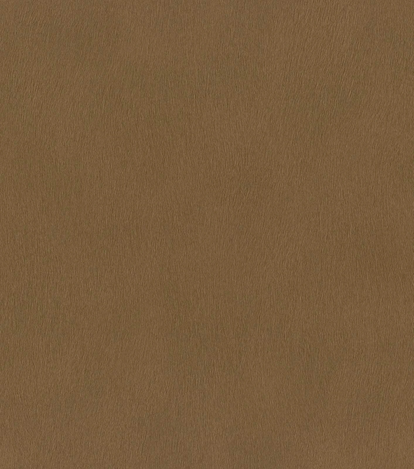 Vliestapete Rasch 751079 Struktur Einfarbig Braun 4 Vliestapete Rasch 751079 Struktur Einfarbig Braun – Bild 2