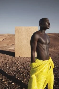 Papis Loveday Tapete 86729 Schraffur Orange Platin -Tapetengeschäft Tapete Papis Loveday Orange Platin Struktur 86729 63213084 2