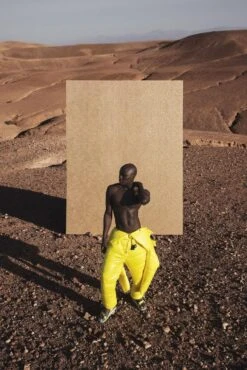 Papis Loveday Tapete 86729 Schraffur Orange Platin -Tapetengeschäft Tapete Papis Loveday Orange Platin Struktur 86729 63213084 4