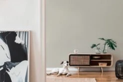 A.S. Creation Tapete Vlies 37527-3 Meliert Einfarbig Greige Weiß 12 A.S. Creation Tapete Vlies 37527-3 Meliert Einfarbig Greige Weiß -Tapetengeschäft Tapete Vlies 37527 3 meliert Einfarbig greige weiss 63206051