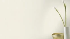 Barbara Home Vliestapete Einfarbig Creme 536805 8 Barbara Home Vliestapete Einfarbig Creme 536805 -Tapetengeschäft Tapete Vlies 536805 Einfarbig creme 63203595