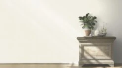 Barbara Home Vliestapete Einfarbig Creme 536805 9 Barbara Home Vliestapete Einfarbig Creme 536805 -Tapetengeschäft Tapete Vlies 536805 Einfarbig creme 63203595 1