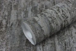 Tapete Vlies Rasch Birke Baumstamm Anthrazit 554076 10 Tapete Vlies Rasch Birke Baumstamm Anthrazit 554076 -Tapetengeschäft Tapete Vlies Rasch Birke Baumstamm anthrazit 554076 63211744 7