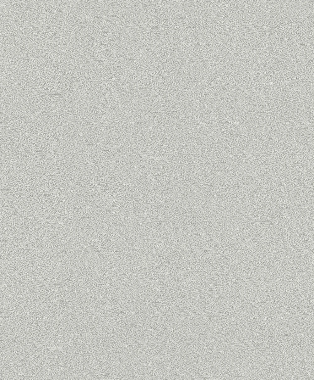 Tapete Vlies Uni Strukturiert Hellgrau Rasch 474930 3 Tapete Vlies Uni Strukturiert Hellgrau Rasch 474930