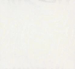 Vliestapete Design Zebra Weiß Patent Decor 3D 9433