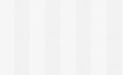 Tapete Vlies Groß-Rolle Streifen Weiß Pigment 9649-46