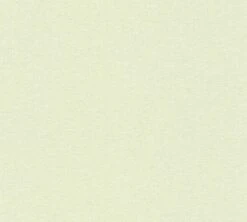 Versace Vliestapete 38383-6 Uni Grün Struktur