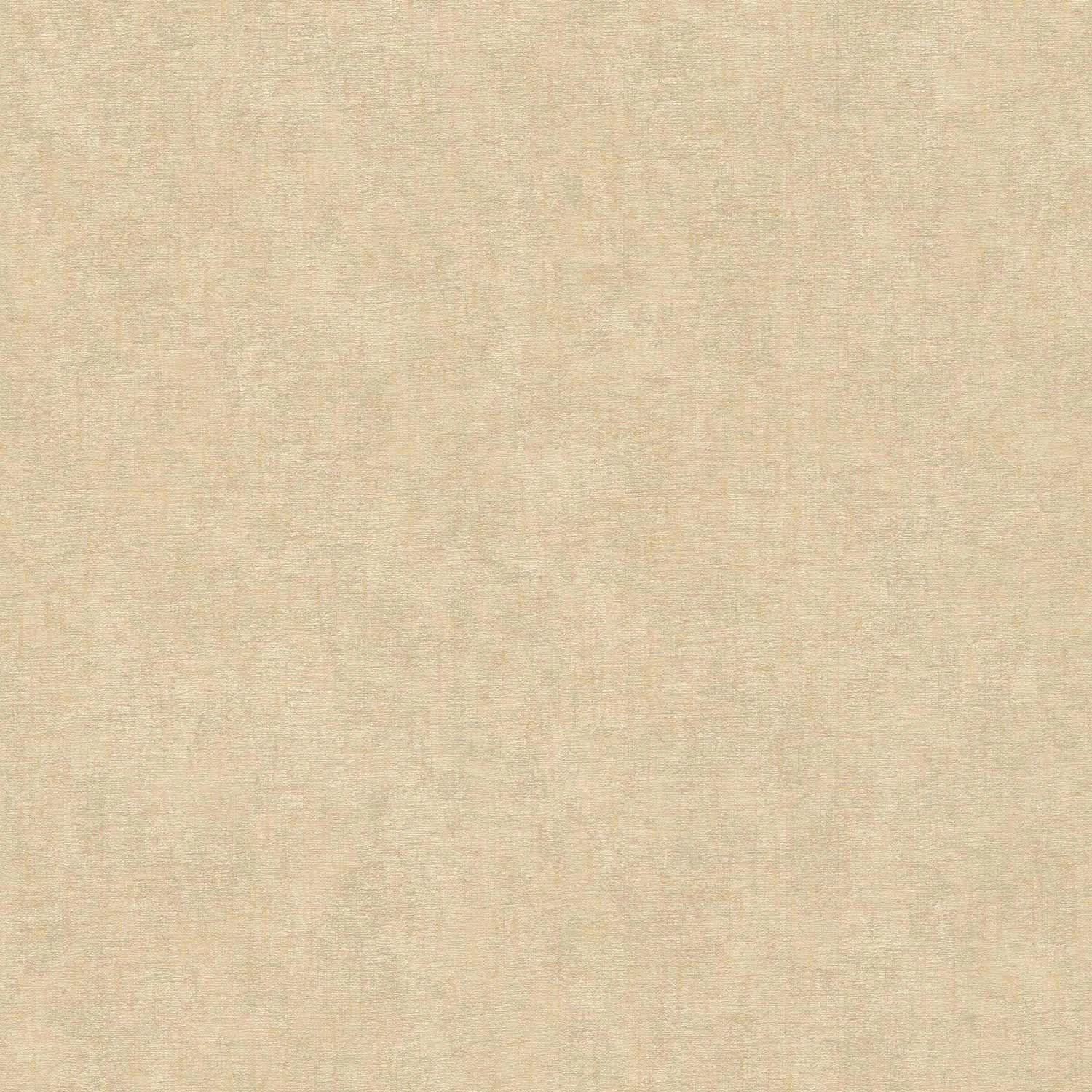 A.S. Creation Vliestapete 386155 Beton Optik Beige Glitzer 4 A.S. Creation Vliestapete 386155 Beton Optik Beige Glitzer – Bild 2